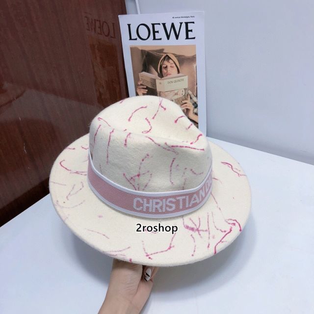 DIOR 모자