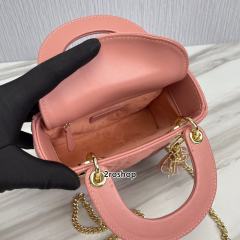 디올레이디백미니핑크