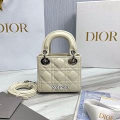 디올레이디백마이크로화이트