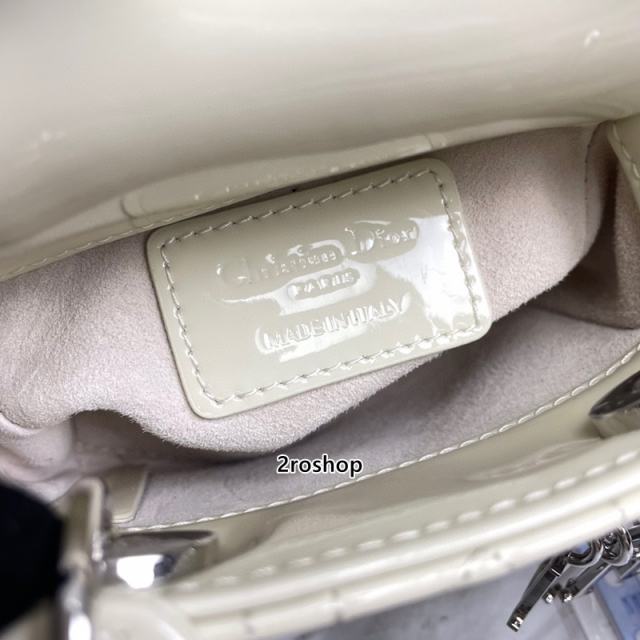 디올레이디백마이크로화이트