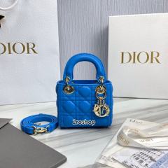 디올레이디백마이크로블루