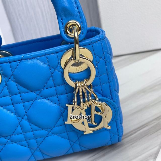 디올레이디백마이크로블루