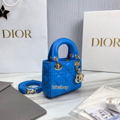 디올레이디백마이크로블루