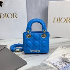 디올레이디백마이크로블루