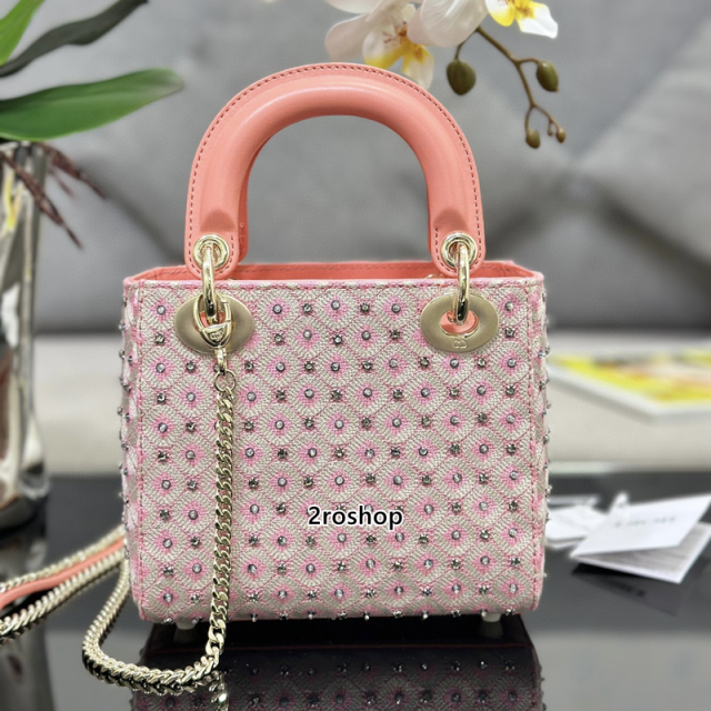 디올레이디백미니