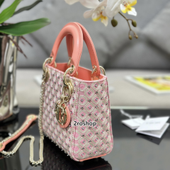 디올레이디백미니