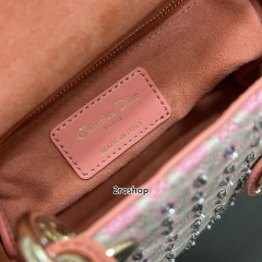 디올레이디백미니