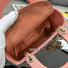 디올레이디백미니