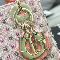 디올레이디백미니