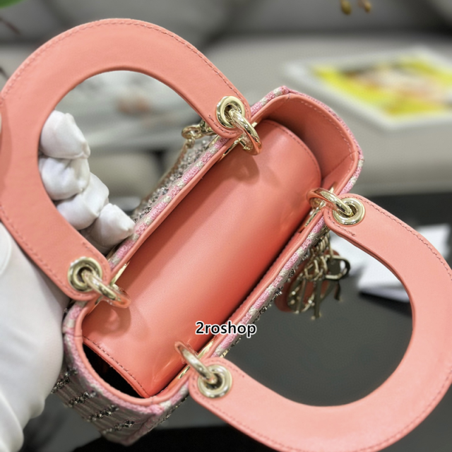 디올레이디백미니