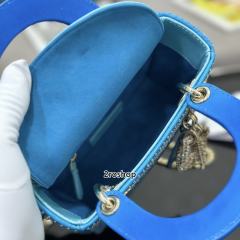 디올레이디백미니블루