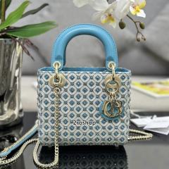 디올레이디백미니