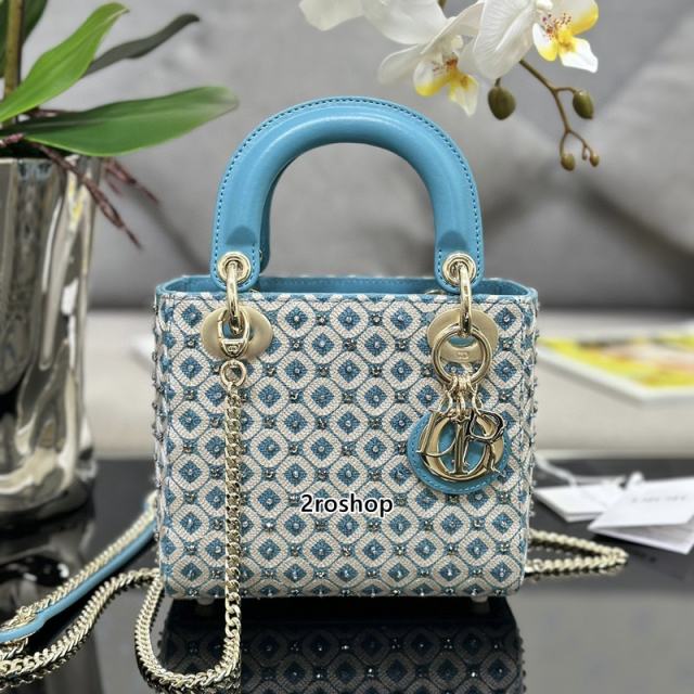 디올레이디백미니