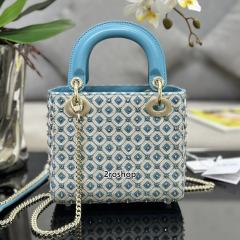 디올레이디백미니