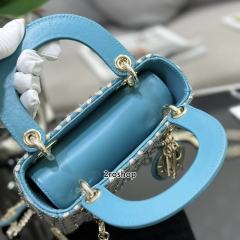 디올레이디백미니