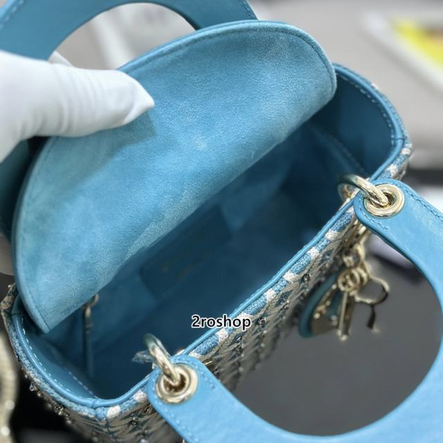 디올레이디백미니