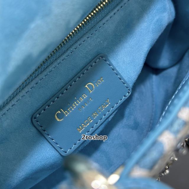 디올레이디백미니