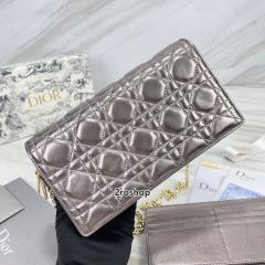 디올레이디백까나쥬실버