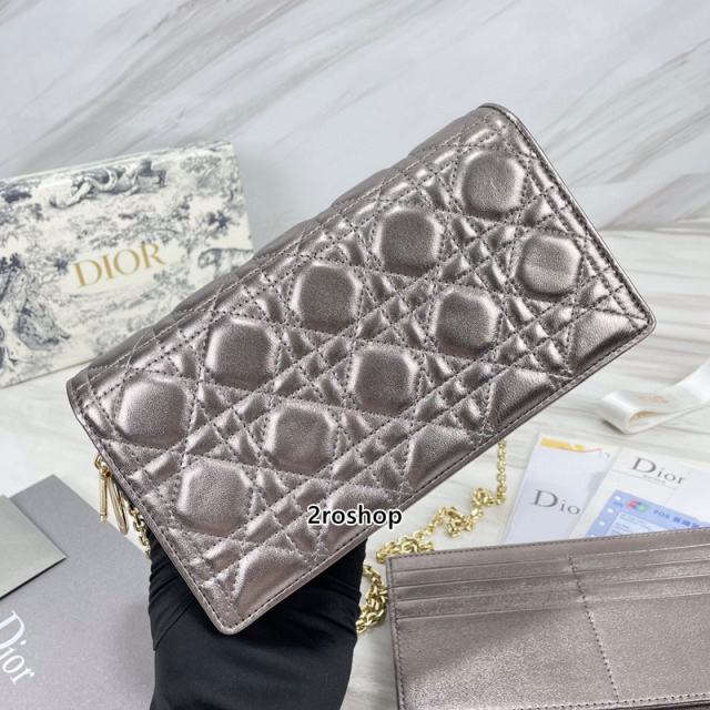 디올레이디백까나쥬실버