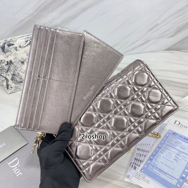 디올레이디백까나쥬실버