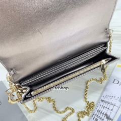 디올레이디백까나쥬실버