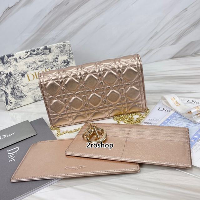 디올레이디백까나쥬골드