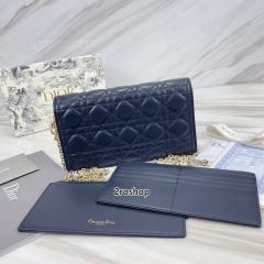 디올레이디백까나쥬블루