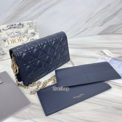 디올레이디백까나쥬블루