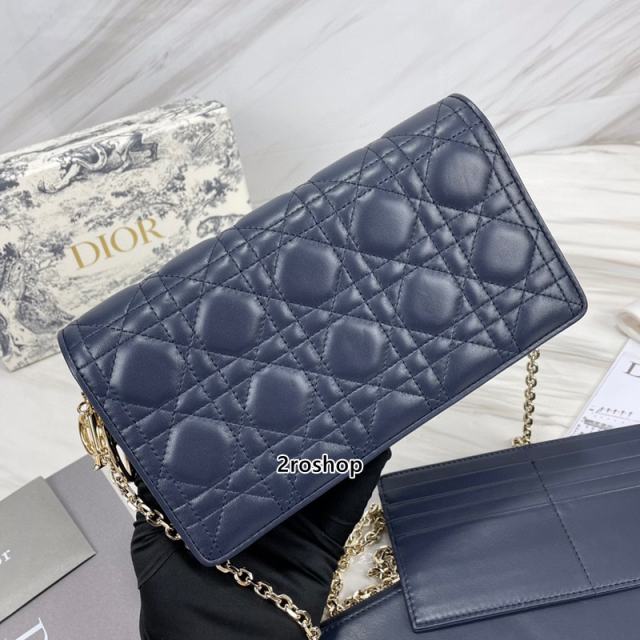 디올레이디백까나쥬블루