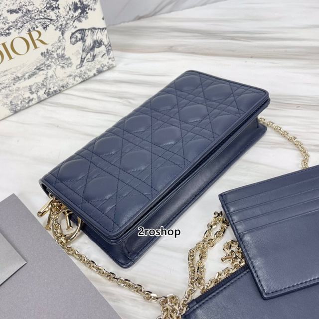 디올레이디백까나쥬블루