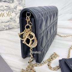 디올레이디백까나쥬블루