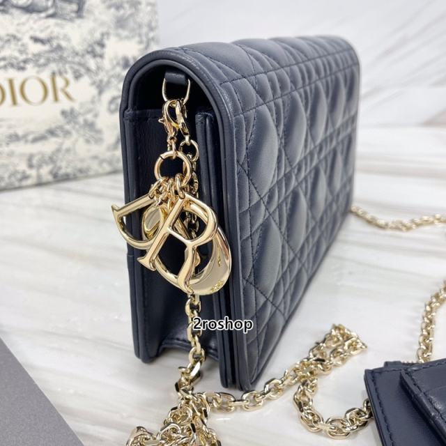 디올레이디백까나쥬블루