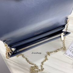 디올레이디백까나쥬블루