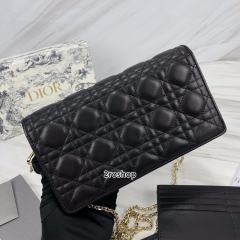 디올레이디백까나쥬블랙