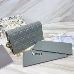 디올레이디백까나쥬