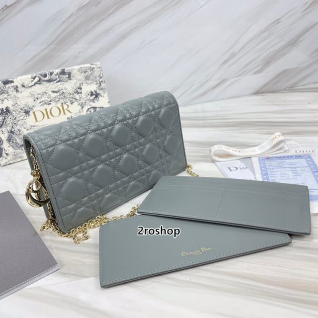 디올레이디백까나쥬