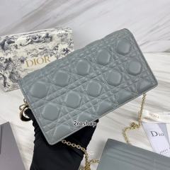 디올레이디백까나쥬