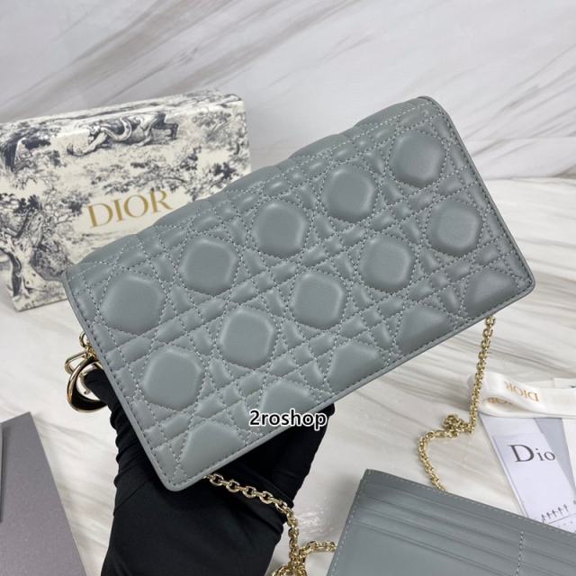 디올레이디백까나쥬