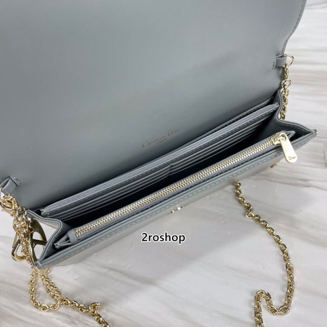 디올레이디백까나쥬