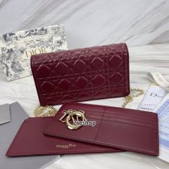 디올레이디백까나쥬