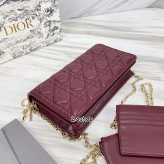 디올레이디백까나쥬