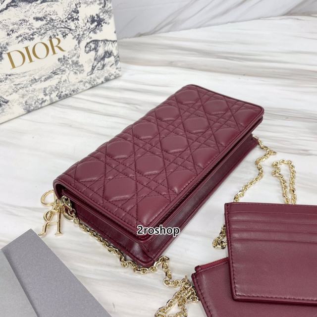 디올레이디백까나쥬