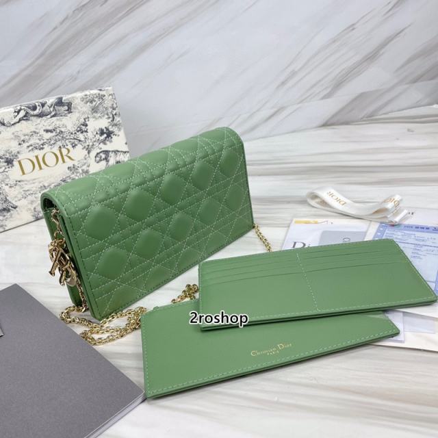 디올레이디백까나쥬그린