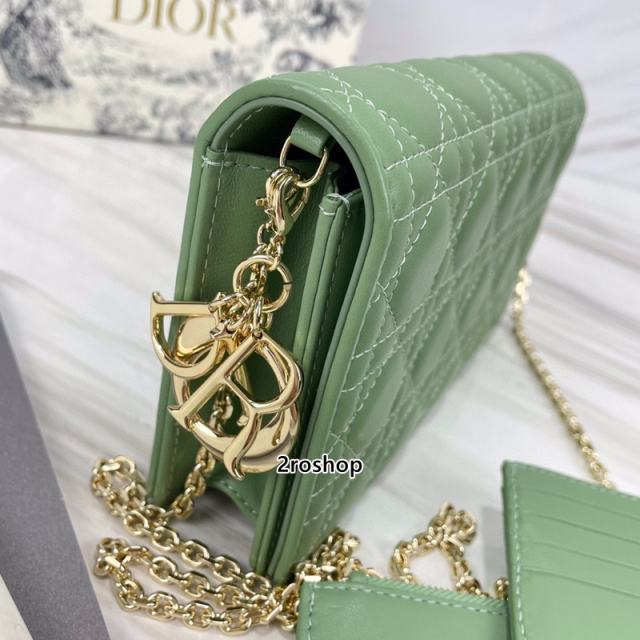 디올레이디백까나쥬그린