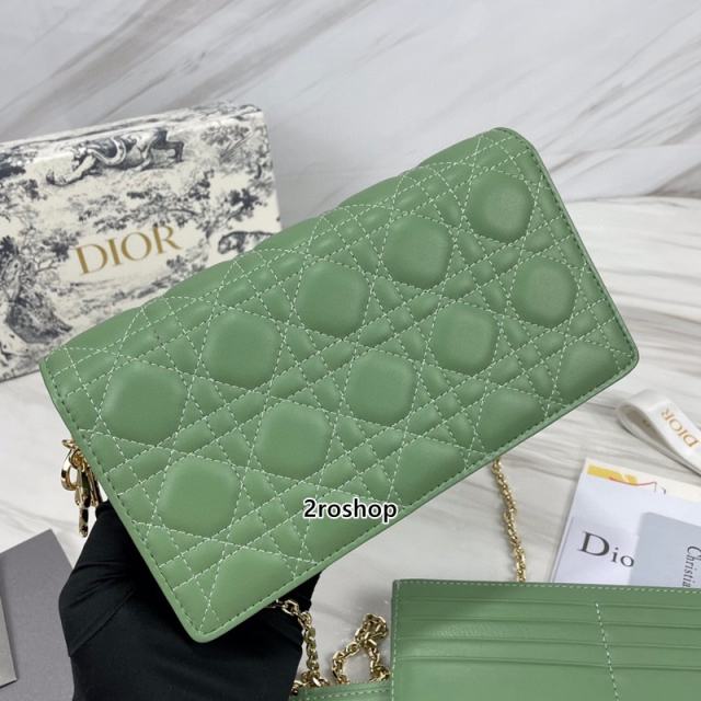 디올레이디백까나쥬그린