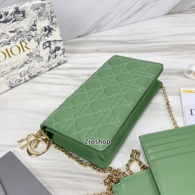 디올레이디백까나쥬그린