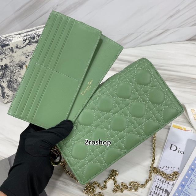 디올레이디백까나쥬그린