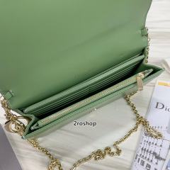 디올레이디백까나쥬그린