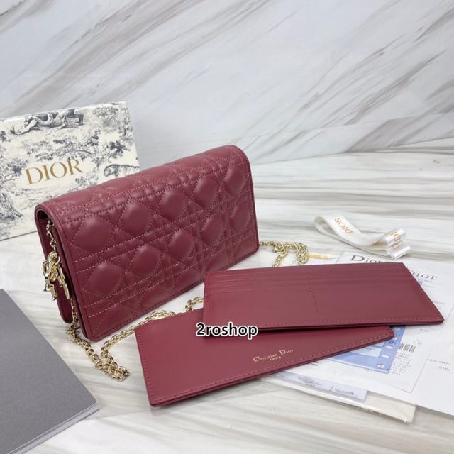 디올레이디백까나쥬레드