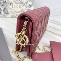 디올레이디백까나쥬레드